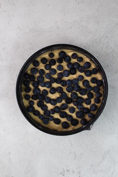 a layer of blueberries added 