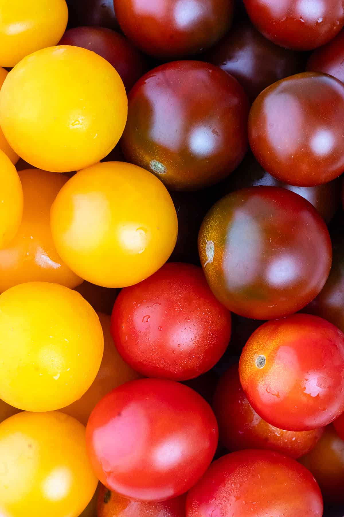 Close up of cherry tomatoes