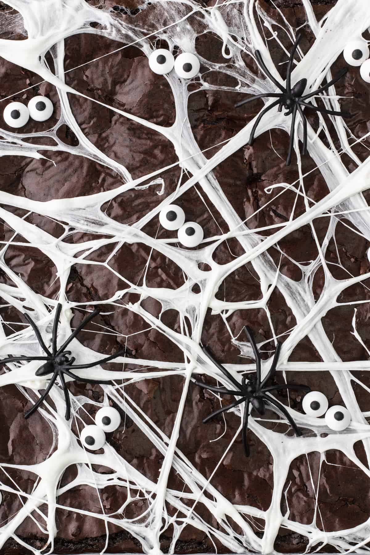 Close up spider web olive oil brownies