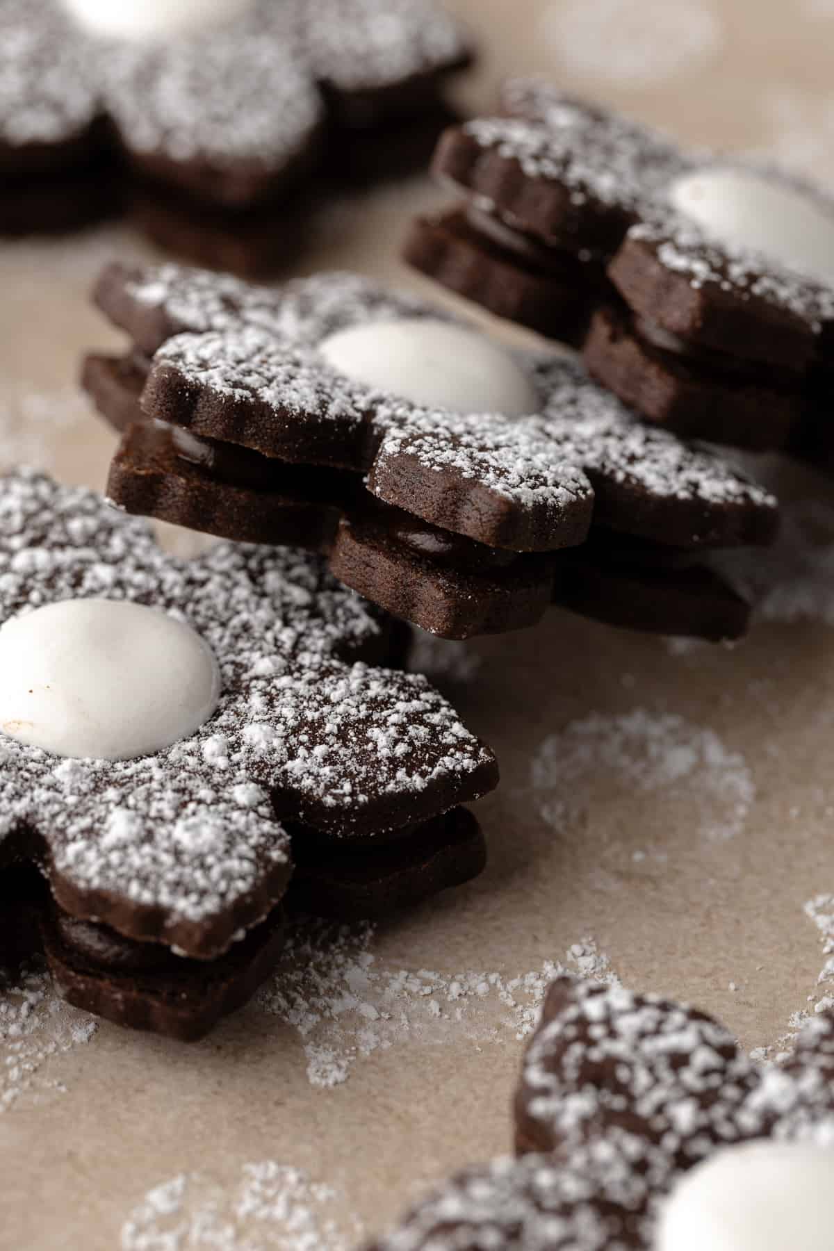 Hot Chocolate Linzer Cookies