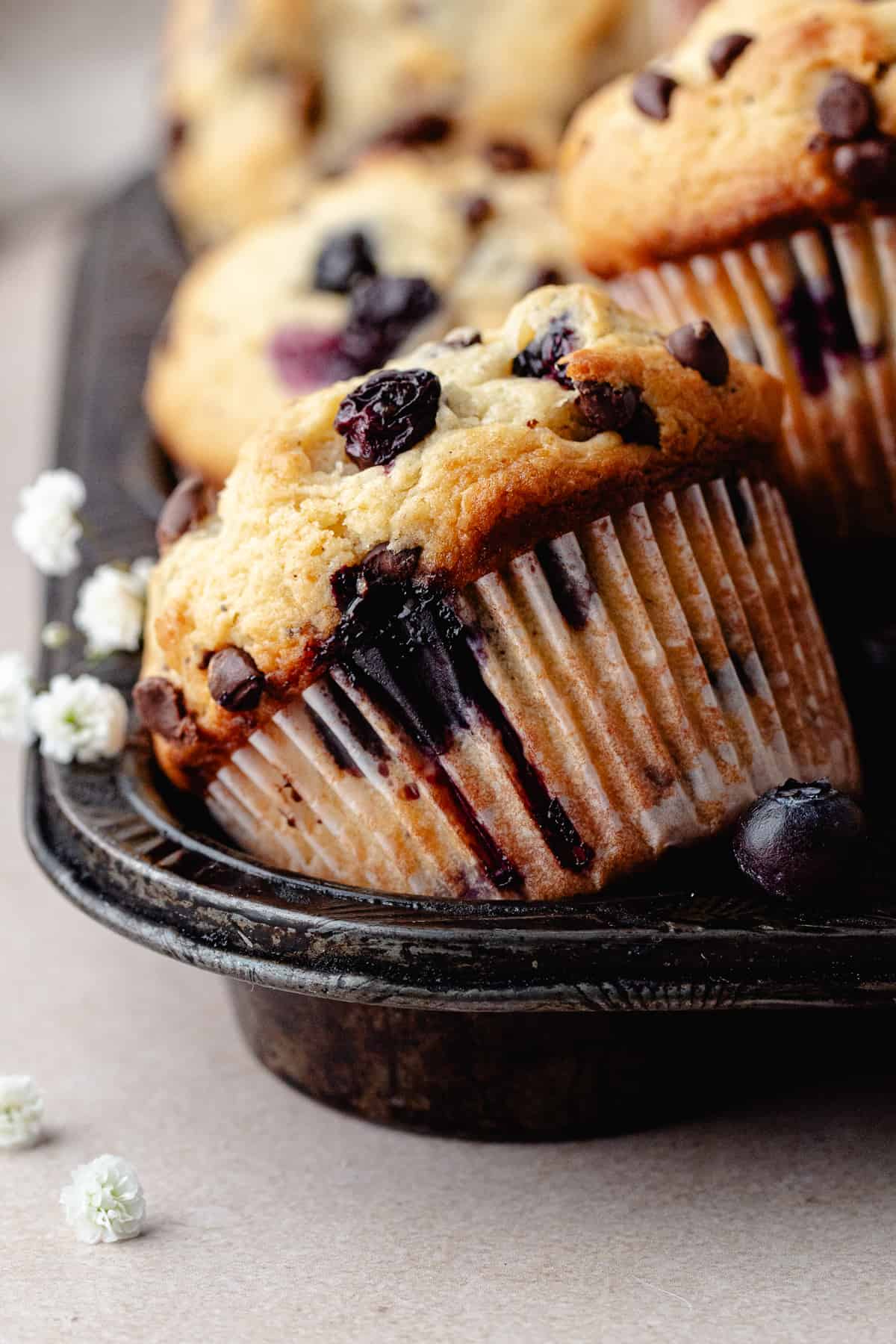 Close up Blueberry chocolate chip muffins