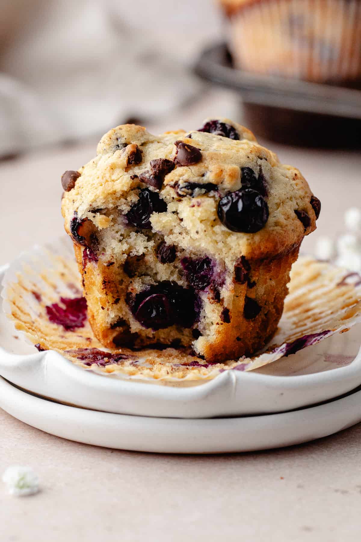 Blueberry chocolate chip muffins with a bite taken out of it.