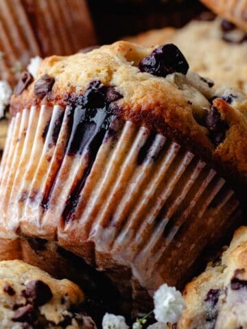 Blueberry Chocolate Chip muffin image