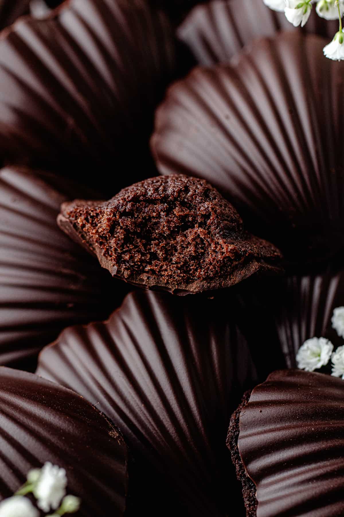 Close up of chocolate madeleines.
