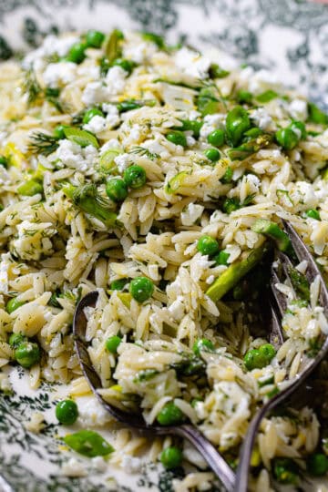 Spring orzo pasta salad featured photo.