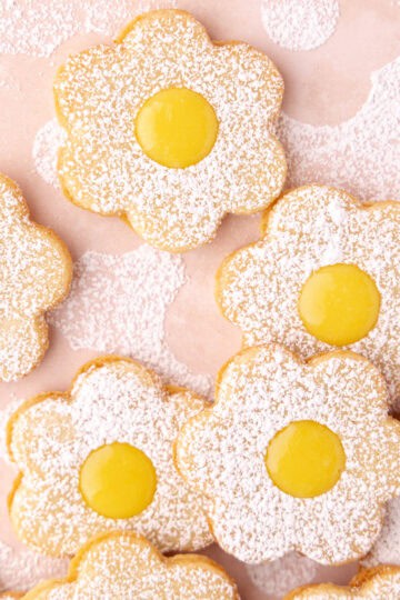 Lemon linzer cookies are dusted with powdered sugar and filled with homemade lemon curd featured photo.