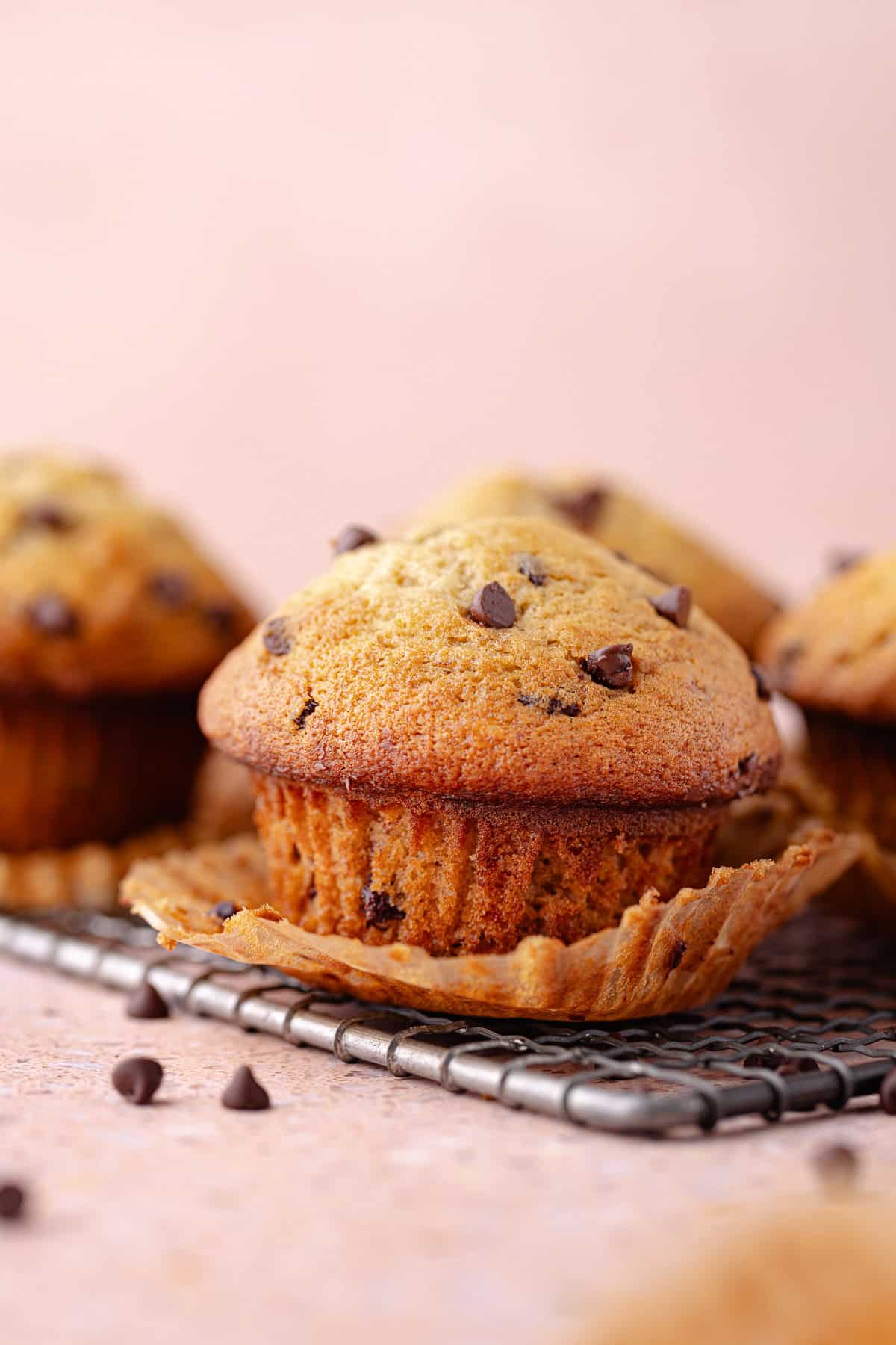 A small batch of chocolate chip banana muffins on a wire rack.