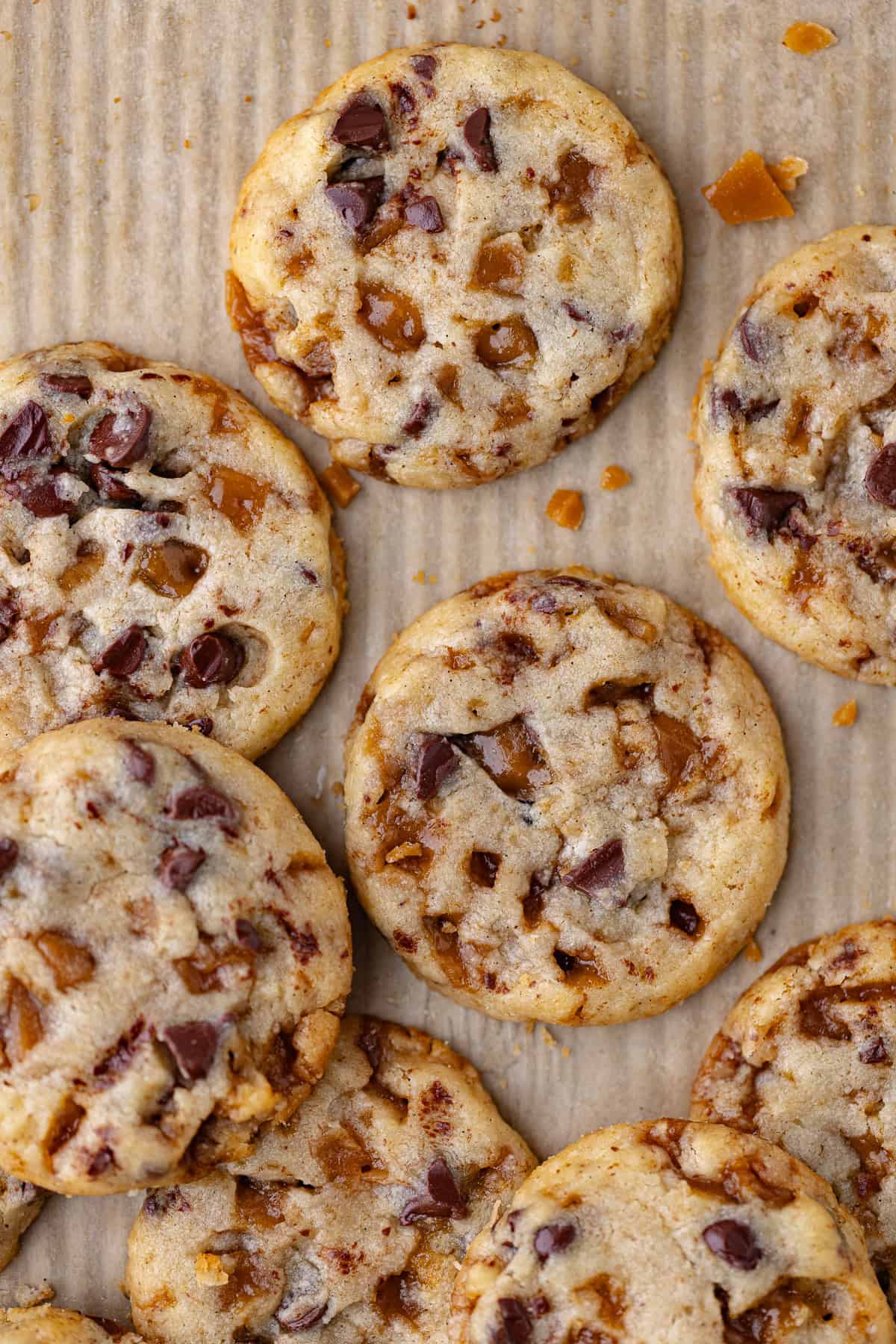 Soft and tender shortbread cookies with dark chocolate chips and homemade toffee bits are baked until golden.