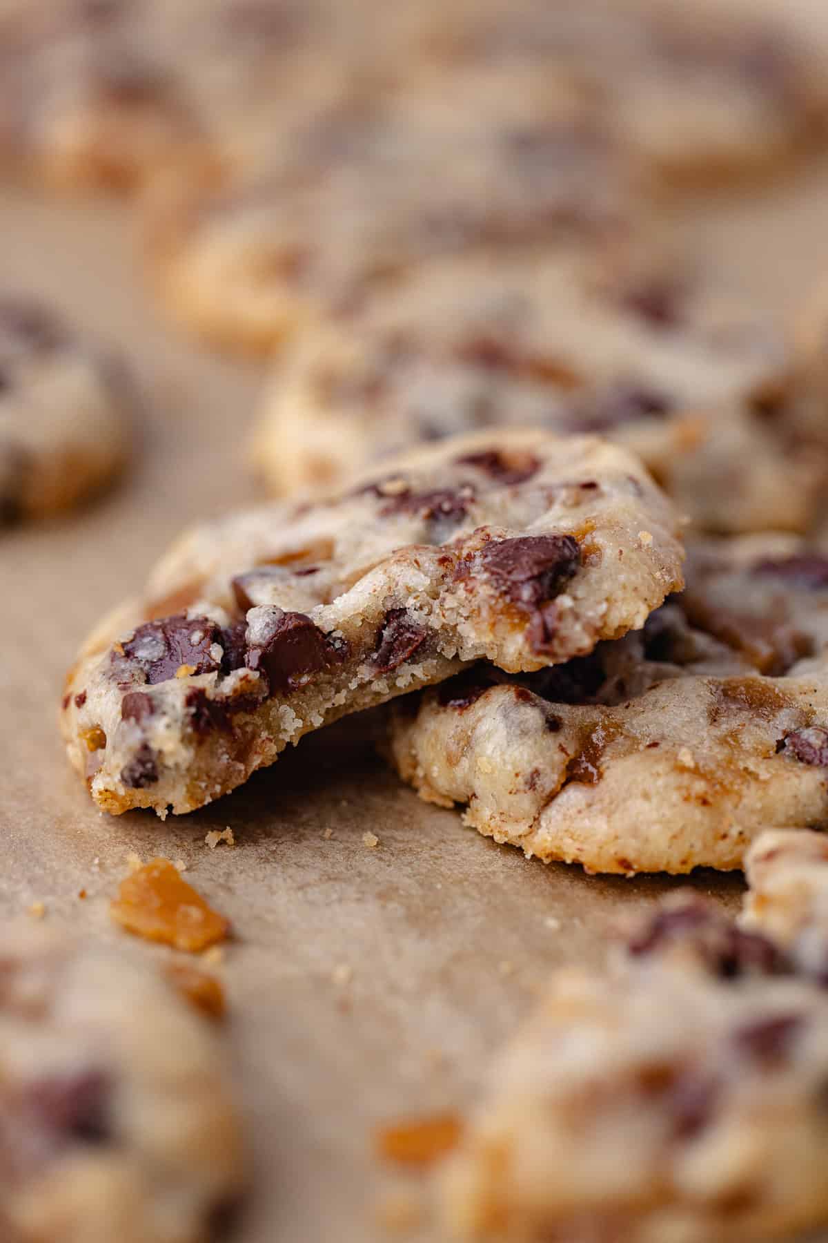 Soft and tender shortbread cookies with dark chocolate chips and homemade toffee bits are baked until golden.