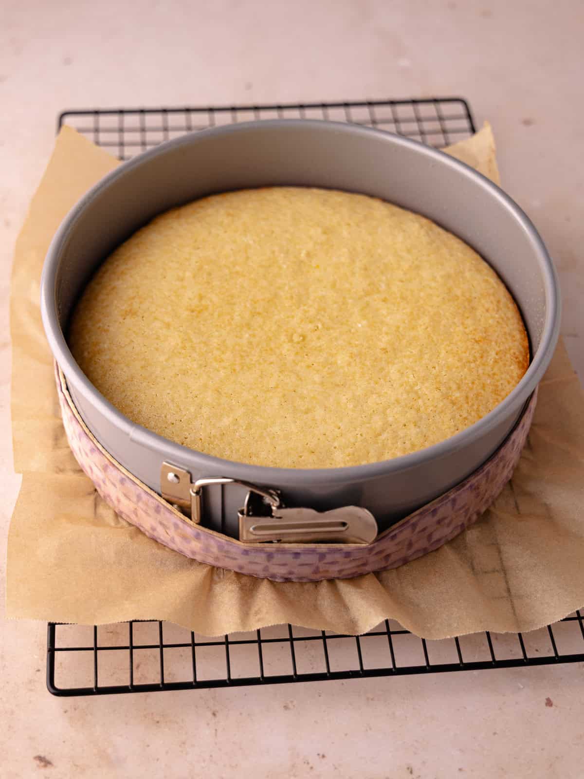 Coconut cake is baked in a springform pan and cooling on a wire rack.