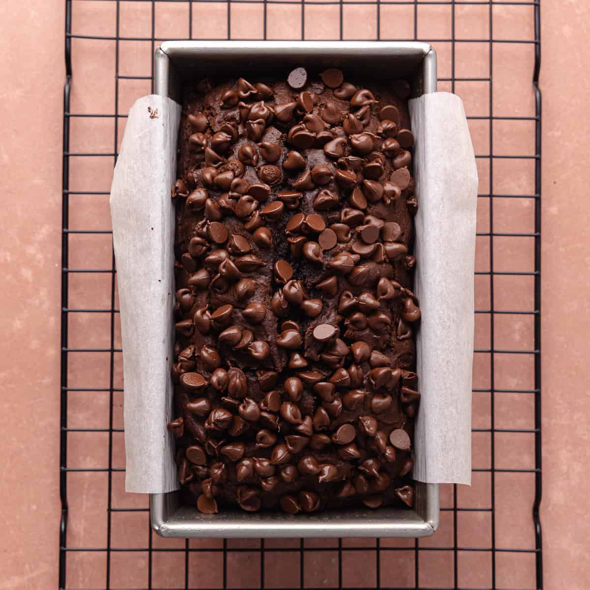 The baked chocolate pumpkin bread is baked and sitting on a wire rack to cool and additional chocolate chips are added on top of the loaf.