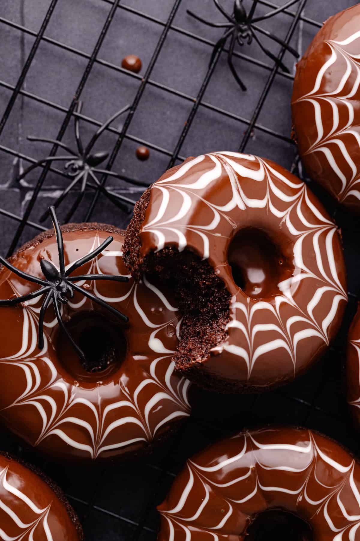 Spider web decorated baked chocolate donuts are sitting on a baking sheet with fake spiders all around.